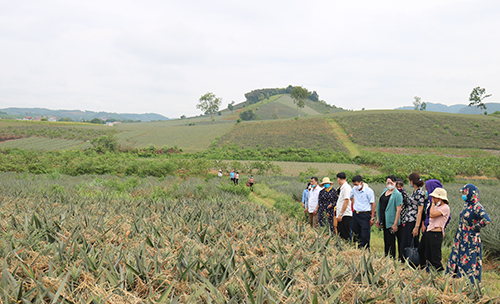 https://hatrung.thanhhoa.gov.vn/portal/Photos/2021-06/cd7f0692b12fe87dIMG_9507.JPG