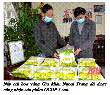 Text Box:  
Nếp cái hoa vàng Gia Miêu Ngoại Trang ðã ðýợc công nhận sản phẩm OCOP 3 sao.
